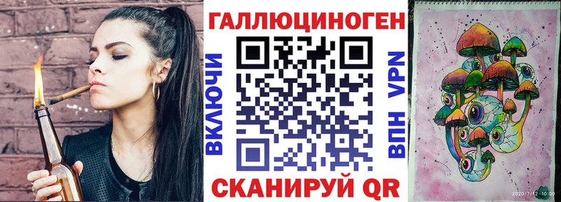 закладки Кувшиново Псилоцибиновые грибы мицелий